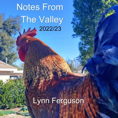 Notes From The Valley – omslag till ljudboken av Lynn Ferguson