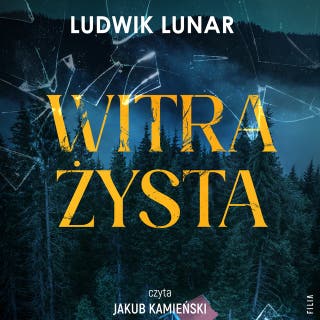 Witrażysta