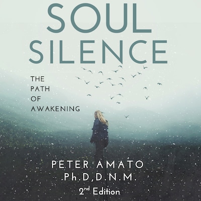 Soul Silence – omslag til lydbogen af Peter Amato Ph.D. D.N.M