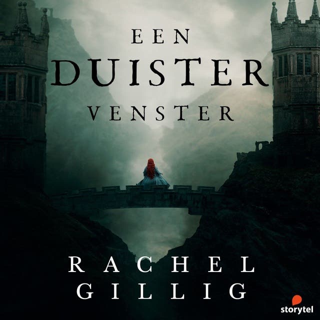 Een duister venster