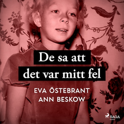 De sa att det var mitt fel