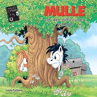 Mulle och den försvunna ponnyn