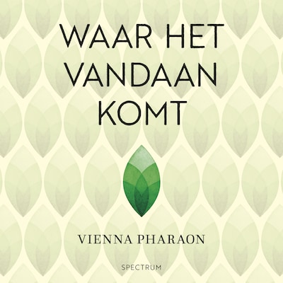 Waar het vandaan komt