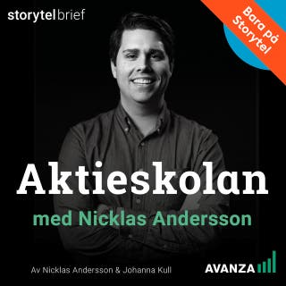 Aktieskolan 8. Så undviker du fällorna