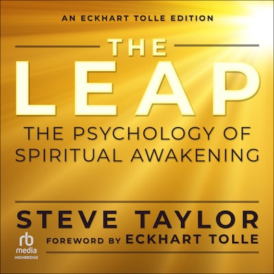 The Leap – omslag til lydbogen af Steve Taylor