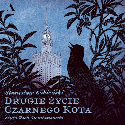 Drugie życie Czarnego Kota – okładka audiobooka, autor Stanisław Łubieński
