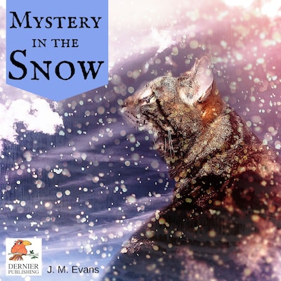 Mystery in the Snow