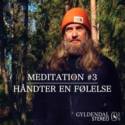 Håndter En Følelse – omslag til lydbogen af Jesper Westmark