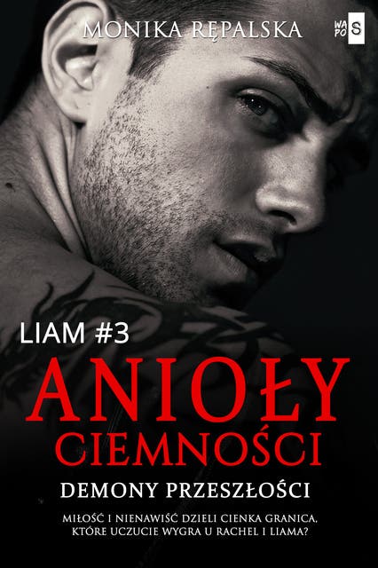 Anioły ciemności. Demony przeszłości. Liam #3