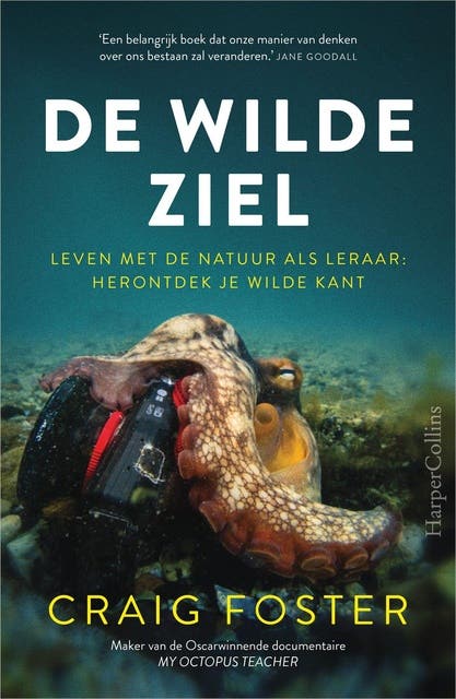 De wilde ziel: Leven met de natuur als leraar: herontdek je wilde kant