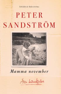 Mamma november: Åtta betraktelser – omslag till ljudboken av Peter Sandström