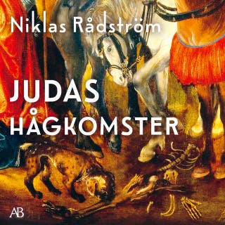 Judas hågkomster – omslag till ljudboken av Niklas Rådström