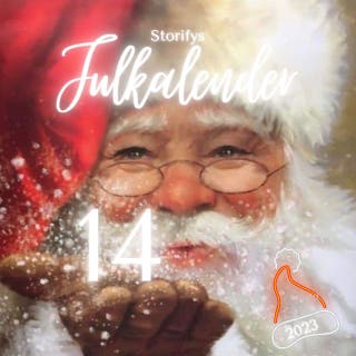 Storifys julkalender 14 december – omslag till ljudboken av A.D Ripman