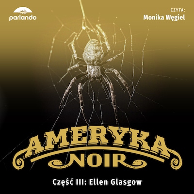 Ameryka Noir – okładka audiobooka, autor Ellen Glasgow