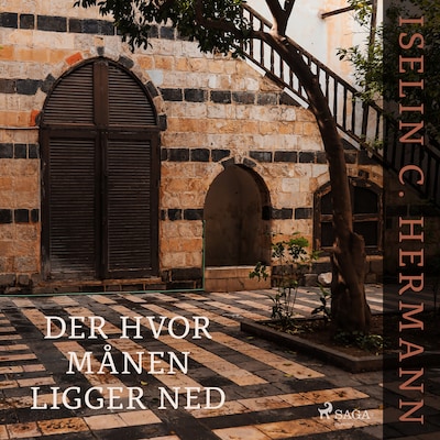 Der hvor månen ligger ned – omslag til lydbogen af Iselin C. Hermann