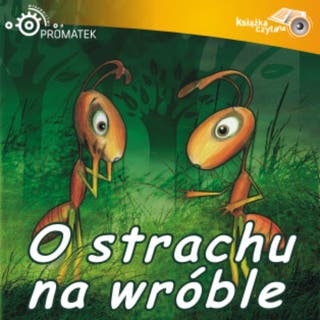 O strachulku – okładka audiobooka, autor Ryszard Adam Gruchawka