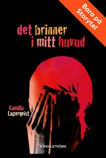 Det brinner i mitt huvud – omslag till ljudboken av Camilla Lagerqvist