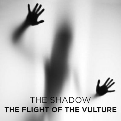 The Flight of the Vulture