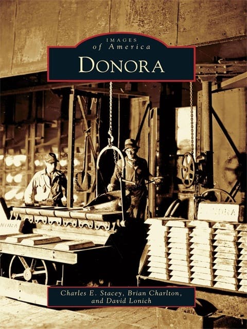 Donora – omslag til lydbogen af Charles E Stacey, Brian Charlton, David Lonich