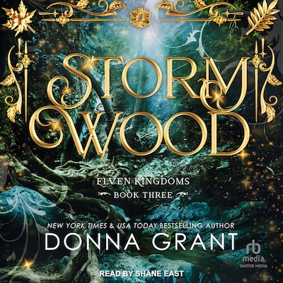 Storm Wood – omslag til lydbogen af Donna Grant