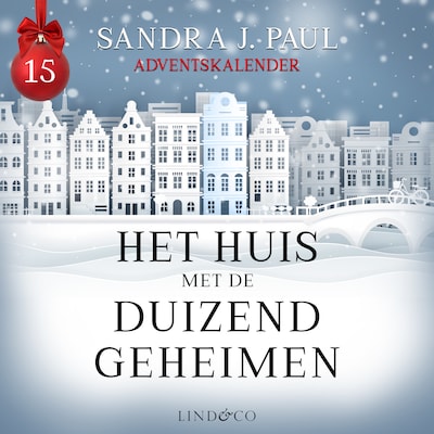 Het huis met de duizend geheimen (15)