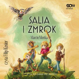 Salia i Zmrok. Banda do zadań specjalnych. Tom 1 – okładka audiobooka, autor Marcin Mortka