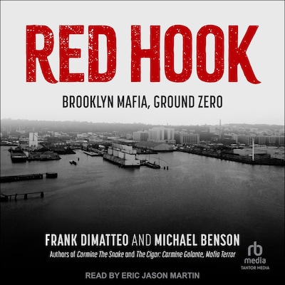 Red Hook – omslag til lydbogen af Frank DiMatteo, Michael Benson