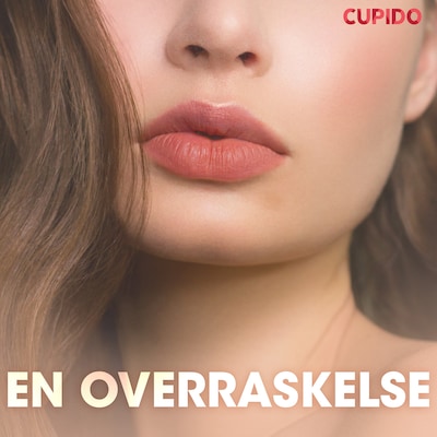 En overraskelse – erotiske noveller – omslag til lydbogen af Cupido