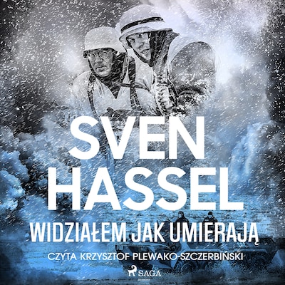 Widziałem jak umierają – okładka audiobooka, autor Sven Hassel