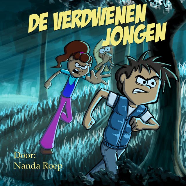 De verdwenen jongen – omslag van het luisterboek van Nanda Roep