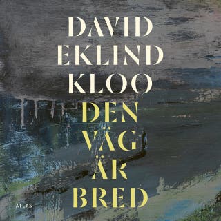 Den väg är bred – omslag till ljudboken av David Eklind Kloo