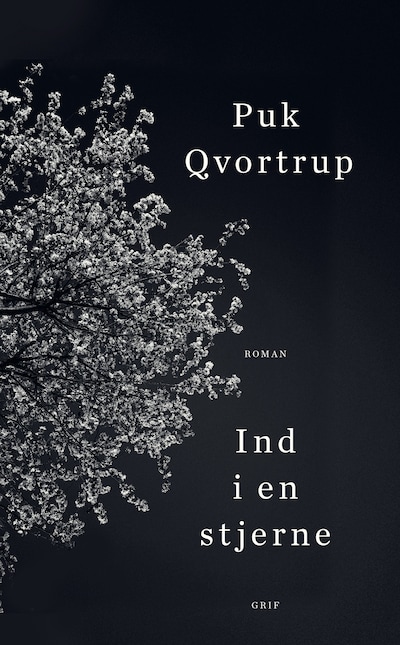 Ind i en stjerne – omslag til lydbogen af Puk Qvortrup
