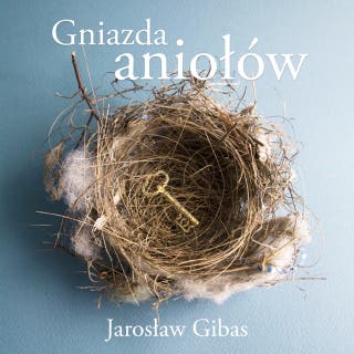 Gniazda aniołów – okładka audiobooka, autor Jarosław Gibas