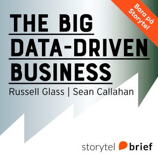 The big data-driven business - Så använder du big data för att hitta kunder, vinnna över konkurrenter och öka din vinst – omslag till ljudboken av Russell Glass,Sean Callahan