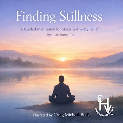 Finding Stillness – omslag til lydbogen af Anthony Pica