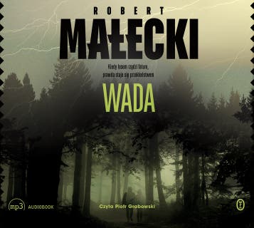 Wada – okładka audiobooka, autor Robert Małecki