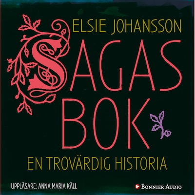 Sagas bok : en trovärdig historia