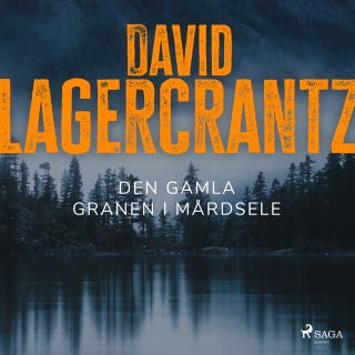 Den gamla granen i Mårdsele