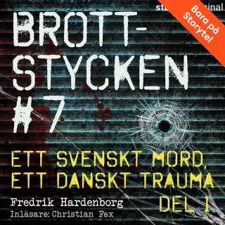 Brottstycken - Ett svenskt mord, ett danskt trauma, del 1