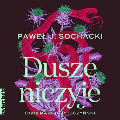Dusze niczyje – okładka audiobooka, autor Paweł J. Sochacki