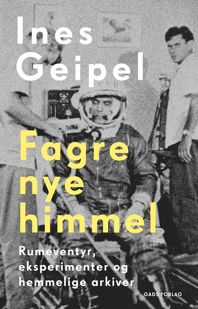 Fagre nye himmel – omslag til lydbogen af Ines Geipel