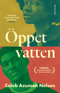 Öppet vatten – omslag till ljudboken av Caleb Azumah Nelson
