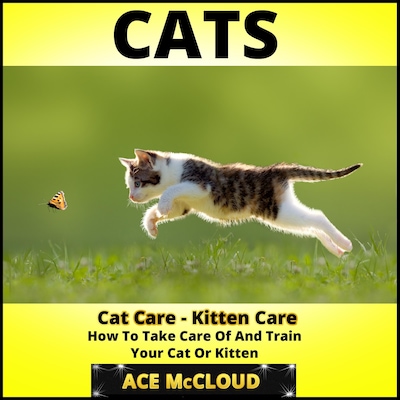 Cats: Cat Care: Kitten Care: How To Take Care Of And Train Your Cat Or Kitten