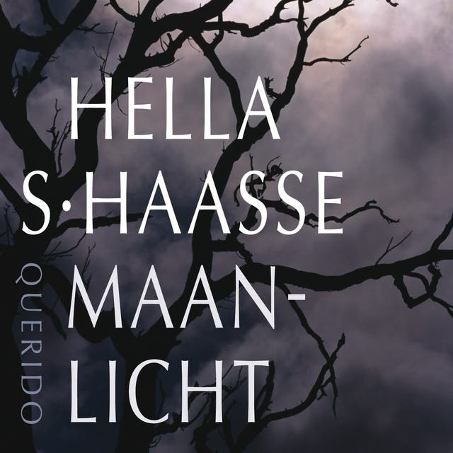 Maanlicht