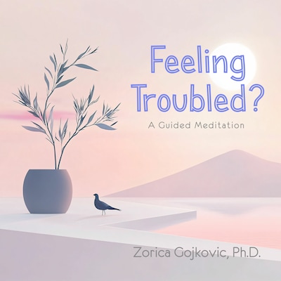 Feeling Troubled? – omslag til lydbogen af Zorica Gojkovic Ph.D.