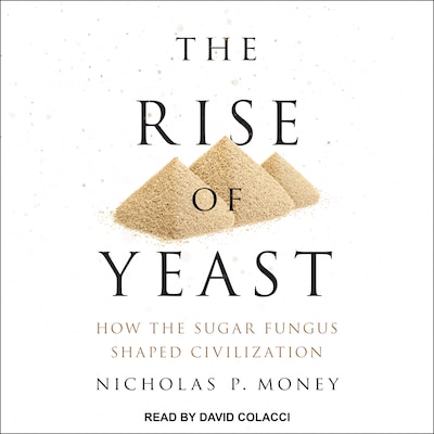 The Rise of Yeast – omslag til lydbogen af Nicholas P. Money