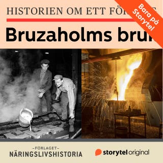 Historien om ett företag: Bruzaholms bruk