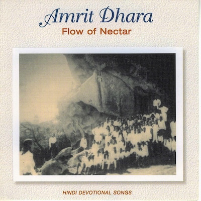 यह रहा  का शीर्षक विवरण हिंदी में: