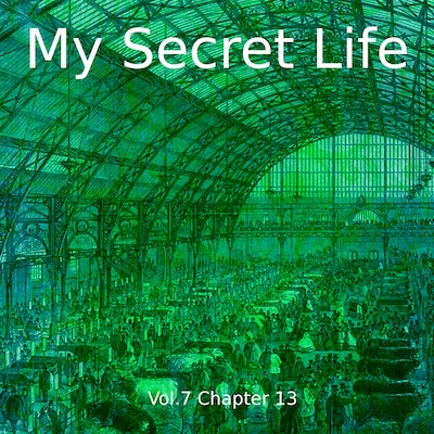My Secret Life, Volume Seven, Chapter Thirteen