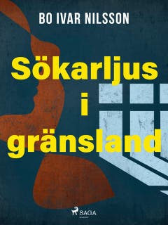 Sökarljus i gränsland – omslag till ljudboken av Bo Ivar Nilsson